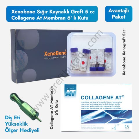 Xenobone Sığır Kaynaklı Greft 5 cc + Collagene At Membran 6' lı Kutu