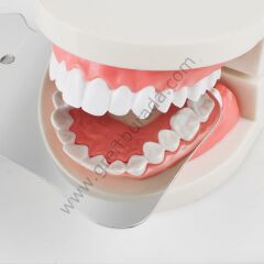 Dental Fotoğrafçılık Aynası