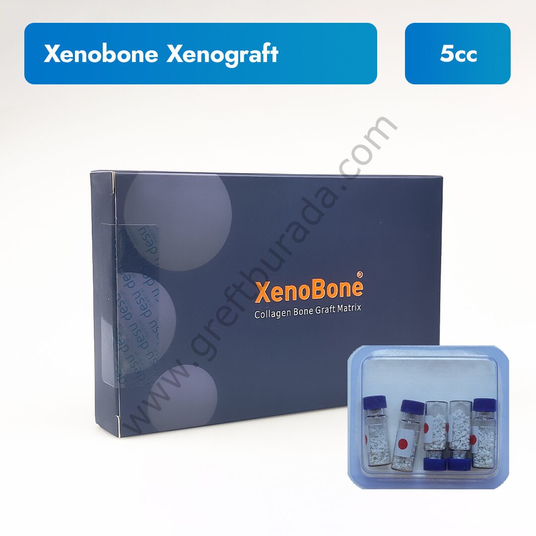 Xenobone Sığır Kaynaklı Greft 5 cc