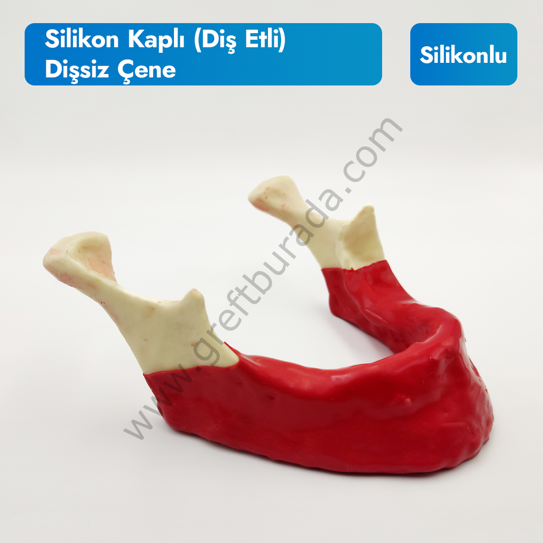 Silikon Kaplı (Diş etli) Mandibüla Dişsiz Çene Modeli