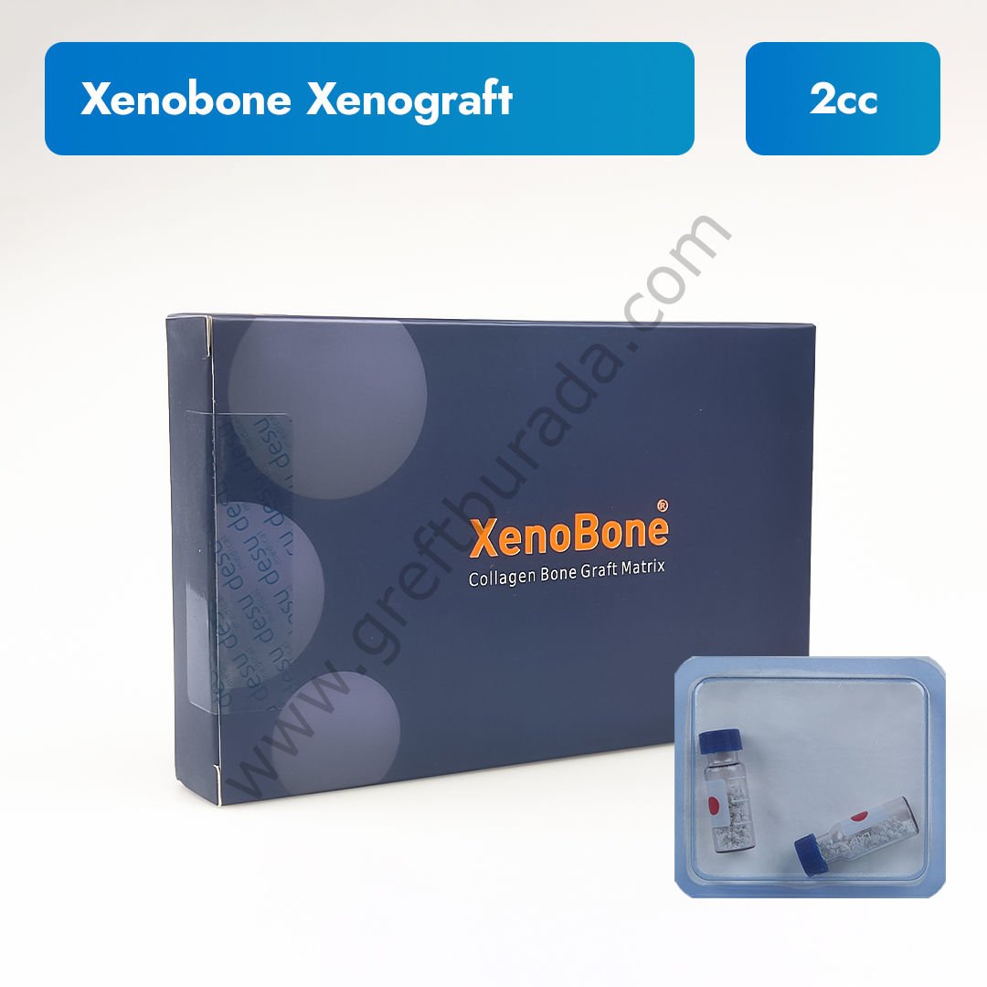 Xenobone Sığır Kaynaklı Greft 2 cc