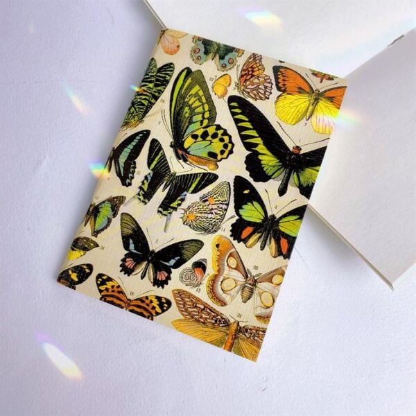 Butterfly Family Mini Çizgisiz Defter