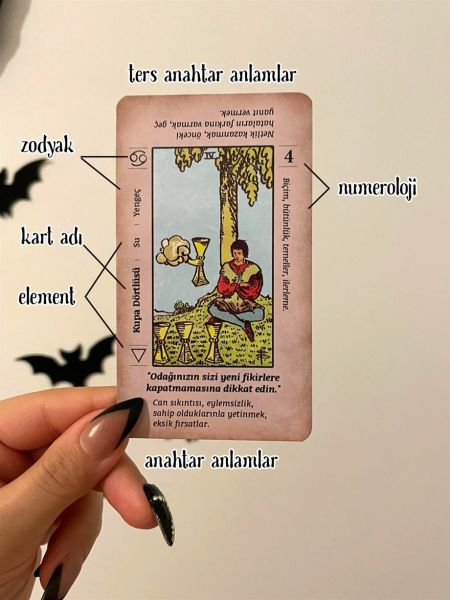 Regin Başlangıç Tarot