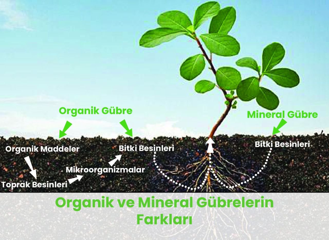Organik ve Mineral Gübrelerin Farkları