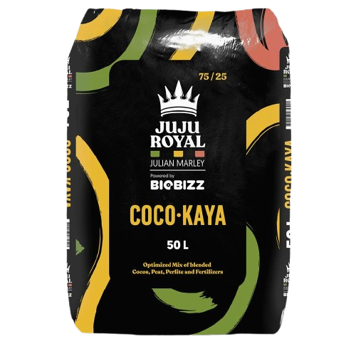 Juju Royal Coco Kaya 50 Litre