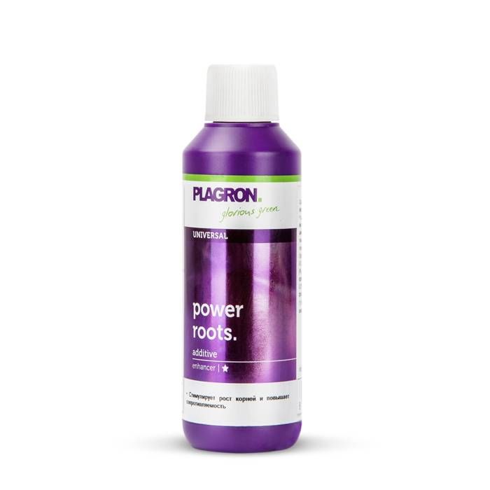 Plagron Power Roots 100ml