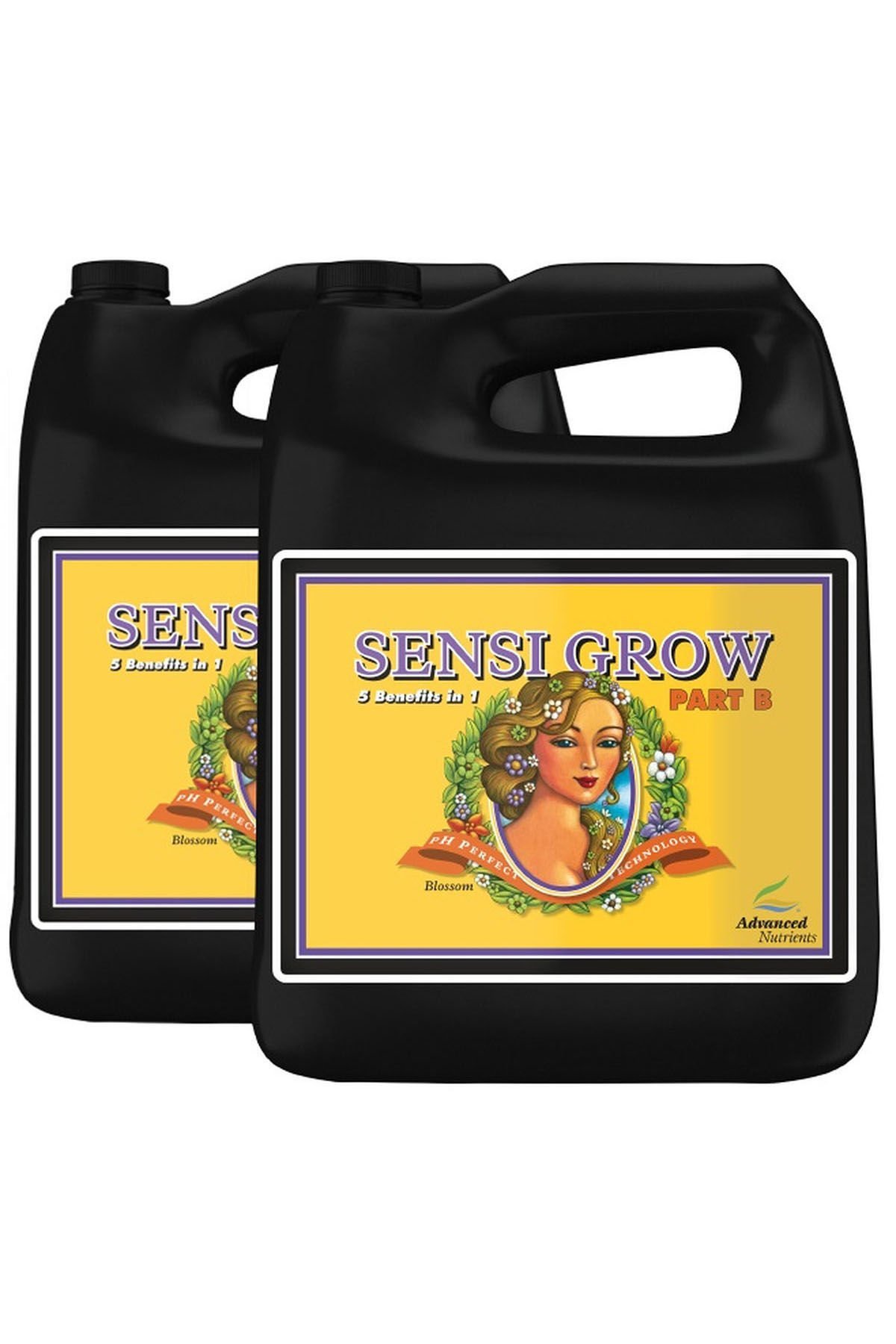 Advanced Nutrients Sensi Grow A+B 10 Litre