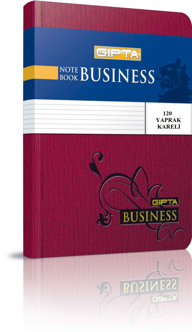 Gıpta Business İplik Dikişli Sert Kapak 120 Yaprak Kareli Defter 12 x 17