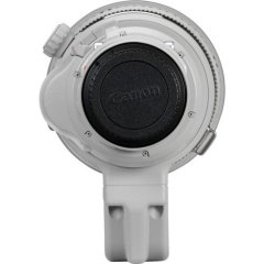 Canon EF 200-400mm f/4L IS USM Extender 1.4x Lens