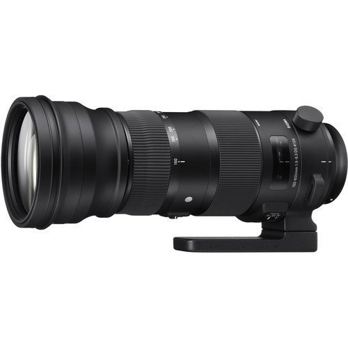 Sigma 150-600mm F5-6.3 DG OS HSM Sports Lens