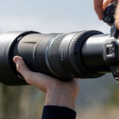 Canon RF 800mm f / 11 IS STM Lens