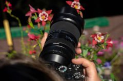 Tamron 50-400mm f/4.5-6.3 Di III VC VXD Lens for Sony E