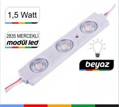 1.5 Watt Küçük Beyaz Modül Led