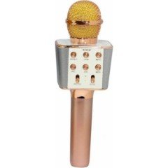 Wster WS-858 Bluetooth Karaoke Mikrofon