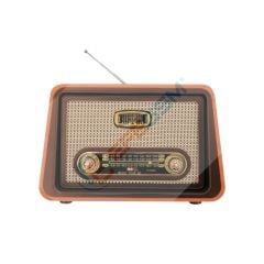Raıseng R-1952BT Nostaljik Radyo