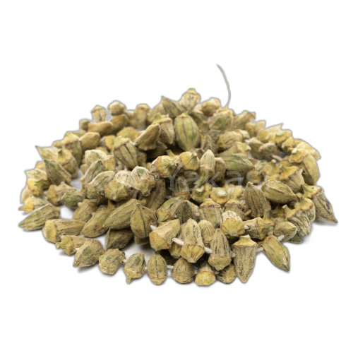 Kurutulmuş Çiçek Bamya 1 dizi ( yaş hali 350 gr)