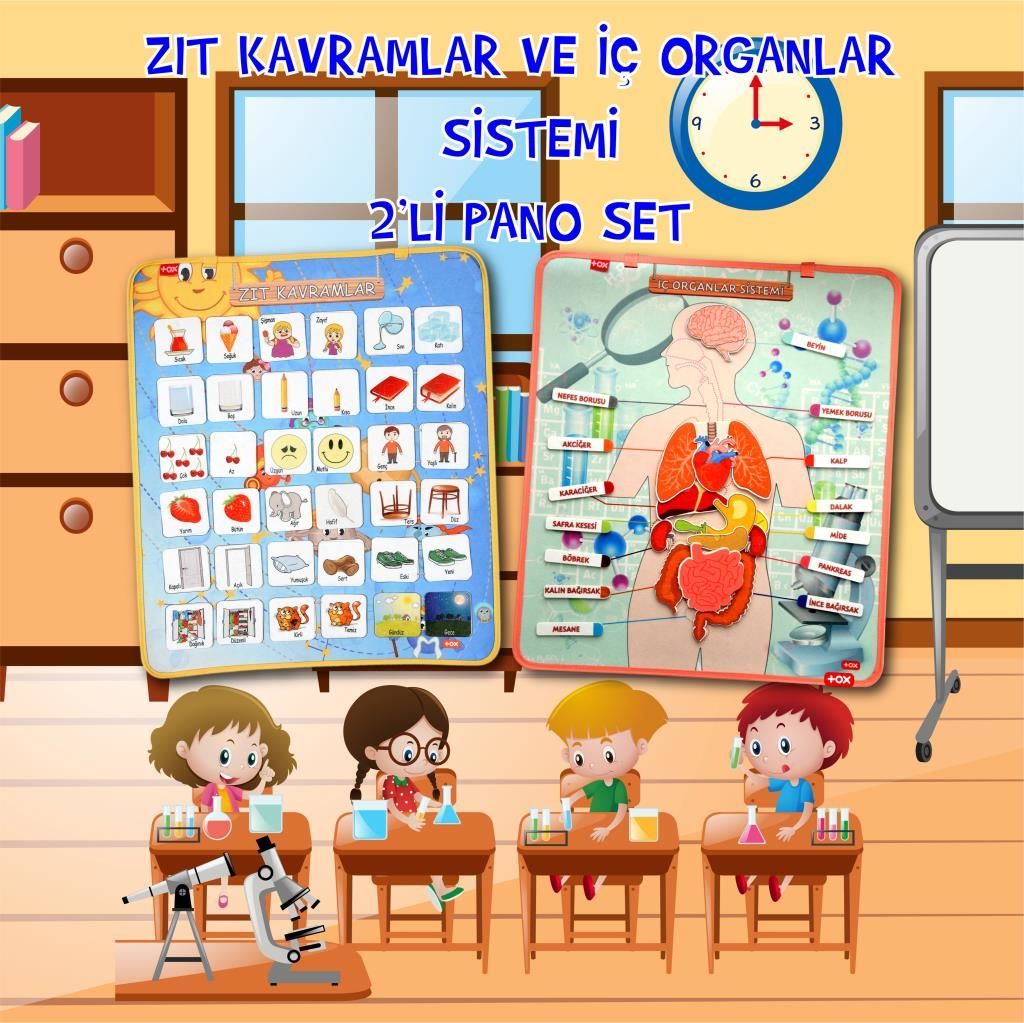 2 Set - 62 Parça  İç Organlar ve Zıt Kavramlar Keçe Cırtlı Duvar