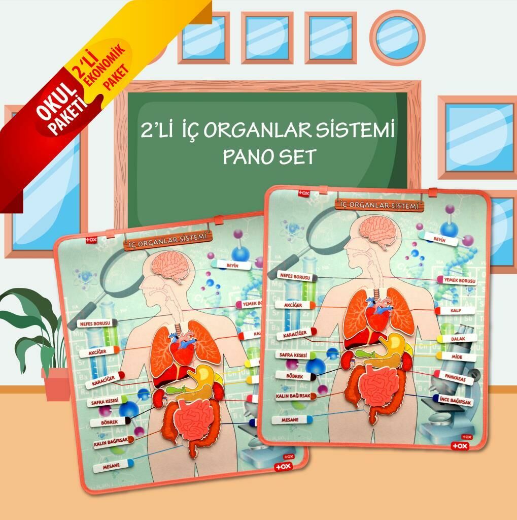 2 Set - 52 Parça  İç Organlar Sistemi Keçe Duvar Panoları , Eğiti