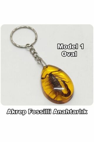 - Akrep Fosilli - Toz Kehribar Anahtarlık - 4 Model