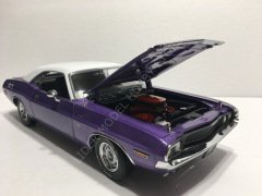 1:18 1970 Dodge Challanger RT Graveyard