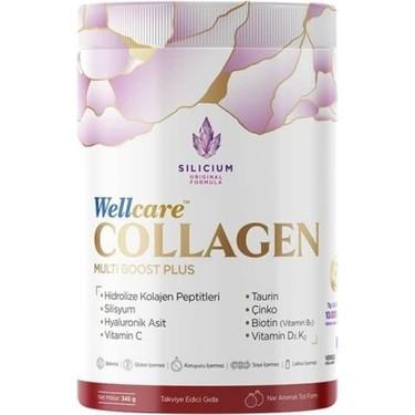 Wellcare Collagen Multiboost Plus Toz 345 gr