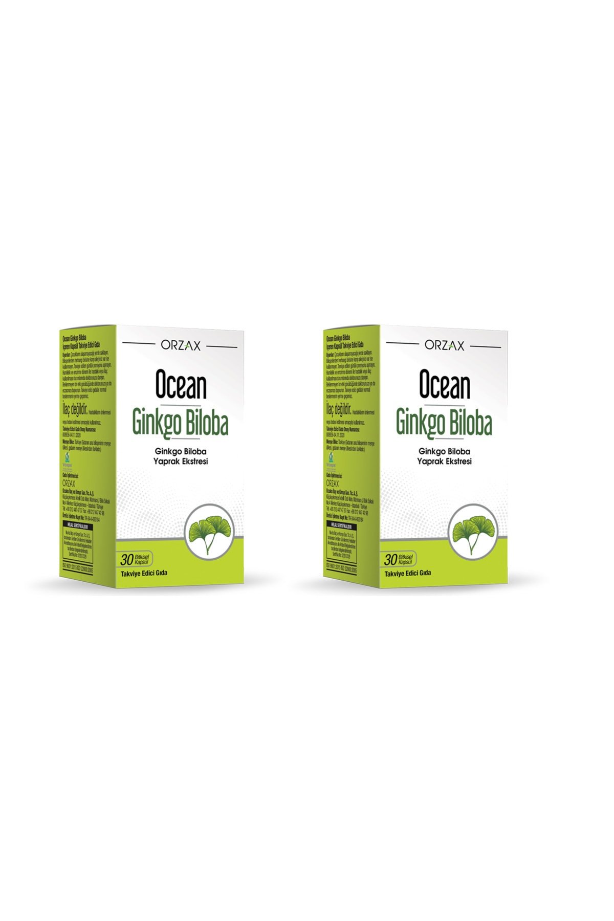 Ocean Ginkgo Biloba 30 Kapsül 2 Kutu