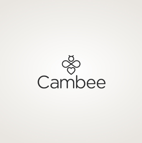 CamBee