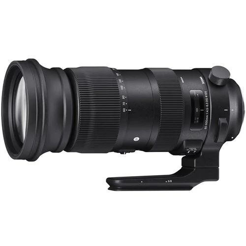 Sigma 60-600mm F4.5-6.3 DG OS HSM Sports Lens (Canon) (Sigma Türkiye Distribütörü Garantili)