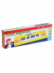 Can Toys Kutulu Pilli Piano FL9301
