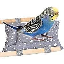 Renkli Kuş Yatağı, Yıkanabilir Kafese Takılabilen Yatak 12 cm x 13 cm