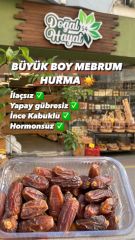 MEDİNE MEBRUM HURMA 250GR / BÜYÜK BOY-İNCE KABUKLU