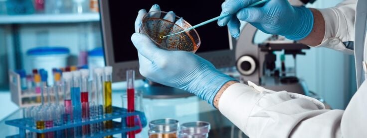 Gama Steril Rodaklı Petri Ürünleri Nelerdir ve Kullanımı Nasıldır