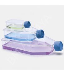 120.11.075 Şişe - Hücre Kültürü - Geçirgen Kapaklı - 75 Cm2 - 25 Ml 100 Adet / Kutu