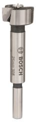 BOSCH Tas Menteşe Açma Ucu 25 mm