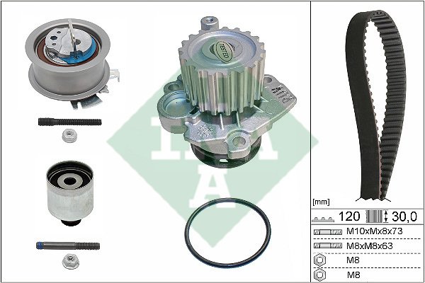 Skoda Octavia I SW 1.9 TDI AXR 00-10 Triger Seti Su Pompalı INA