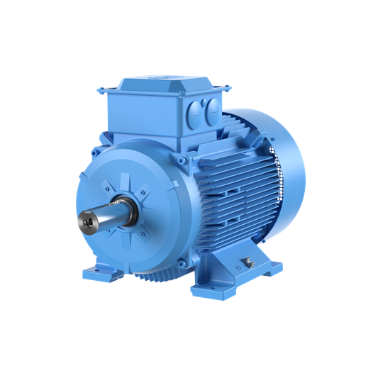 M2BAX IE3 Asenkron Motor 55 kW 1500 d/dk Ayak Bağlantılı