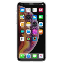 iPhone 11 Pro Anti-Dust Privacy Temperli Ekran Koruyucu