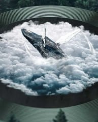 iPhone 12 Pro CL-02 Kamera Lens Koruyucu