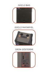 D71 Profesyonel Çift Mikrofonlu BT Kablosuz Hoparlör Bass Ses Kutusu Speaker