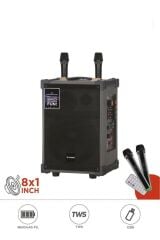 D71 Profesyonel Çift Mikrofonlu BT Kablosuz Hoparlör Bass Ses Kutusu Speaker