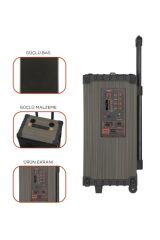 D46 Kahverengi USB, TF, BT, TWS, FM Çift Mikrofonlu Hoparlör Parti Speaker