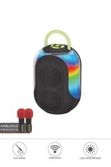 Çift Mikrofonlu Kablosuz Parti Hoparlörü