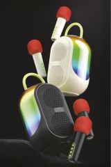 Çift Mikrofonlu Kablosuz Parti Hoparlörü