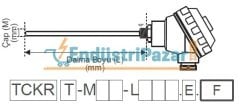 TCKRT-M06-L300.1.J DALMA BOYU 300MM TÜP ÇAPI 6MM TRANSMİTTERLİ 1/2`` REKORLU `J` TİPİ TERMOKUPL AISI304 EMKO