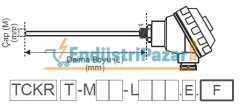 TCKRT-M10-L500.1.J DALMA BOYU 500MM TÜP ÇAPI 10MM TRANSMİTTERLİ 1/2`` REKORLU `J` TİPİ TERMOKUPL AISI304 EMKO