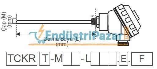 TCKRT-M10-L300.1.J DALMA BOYU 300MM TÜP ÇAPI 10MM TRANSMİTTERLİ 1/2`` REKORLU `J` TİPİ TERMOKUPL AISI304 EMKO