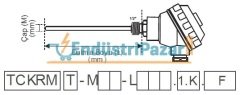 TCKRMT-M06-L150.1.K DALMA BOYU 150MM ÇAP 6MM K TİPİ TRANSMİTTERLİ SICAKLIK SENSÖRÜ AISI310 EMKO