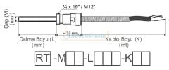 RT-M06-L030-K02 DALMA BOYU 30MM TÜP ÇAPI 6MM M12 KONNEKTÖRLÜ 2MT KABLOLU BAYONET PT-100 EMKO