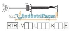 RTR-M06-L050-K02.1 DALMA BOYU 50MM TÜP ÇAPI 6MM 1/2`` REKORLU 2MT KABLOLU BAYONET PT-100 AISI316 EMKO