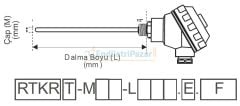 RTKR-M08-L400.2 DALMA BOYU 400MM ÇAP 8MM KAFALI TİP 2*PT-100 AISI304 EMKO